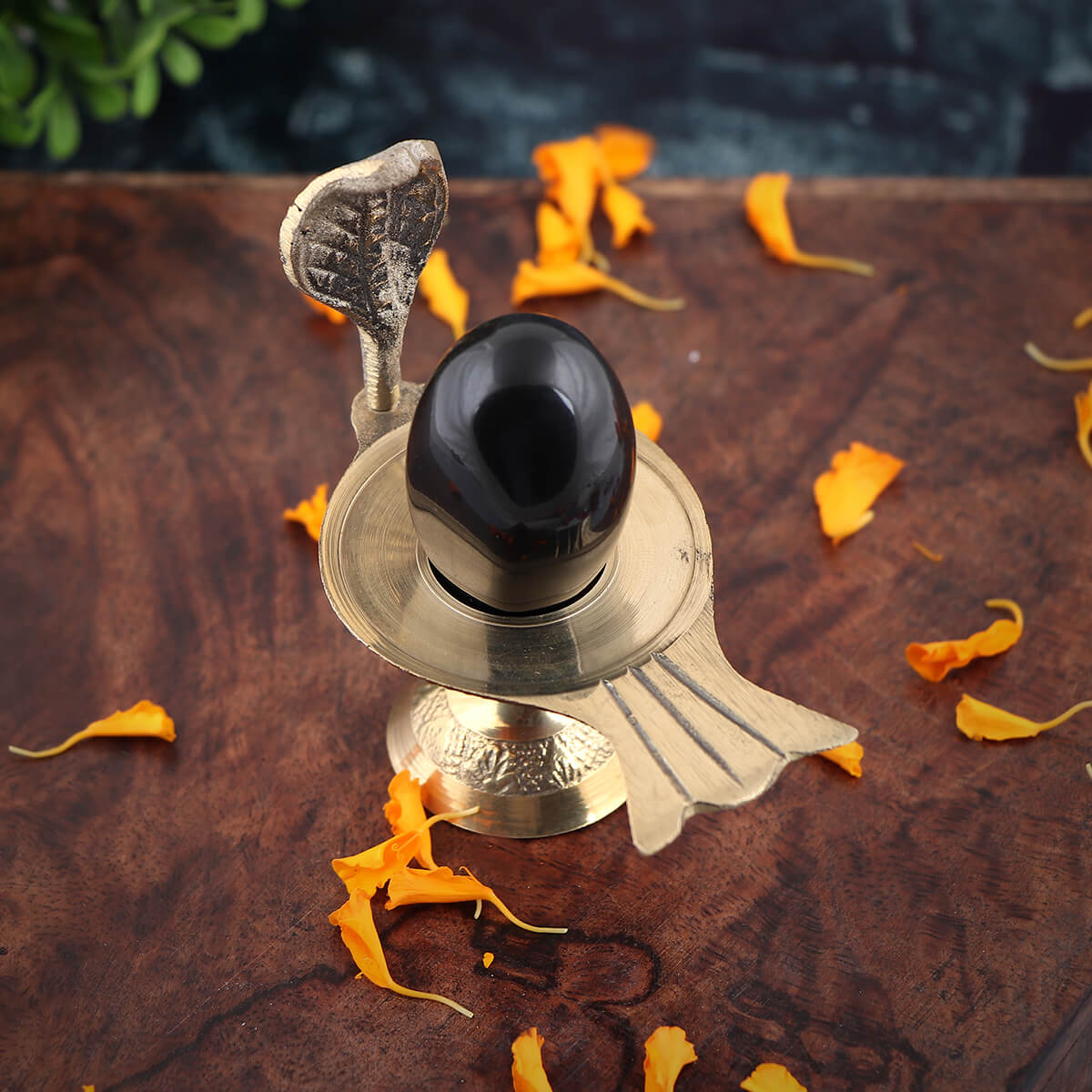 Buy Original Gandaki River Shaligram with Brass Base Online